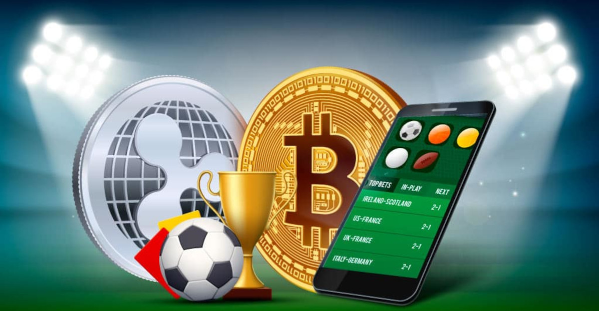 Casino Software Providers Ranked 14 Casino Software Providers Ranked 14